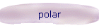 polar