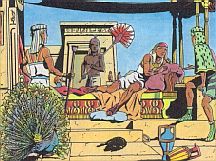 Egypte terrasse.JPG (16147 octets)