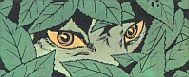 loup.JPG (6599 octets)